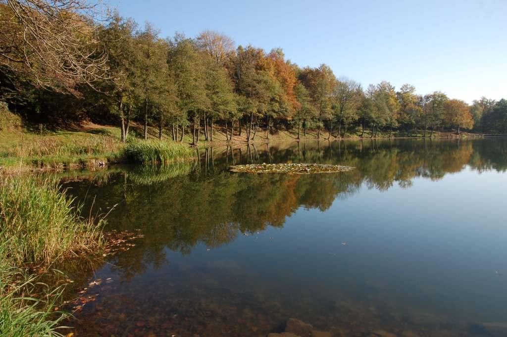 lac2
